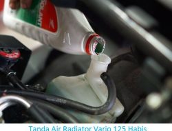 Pahami 5 Tanda Air Radiator Vario 125 Habis Agar Motor Terhindar Dari Kerusakan!